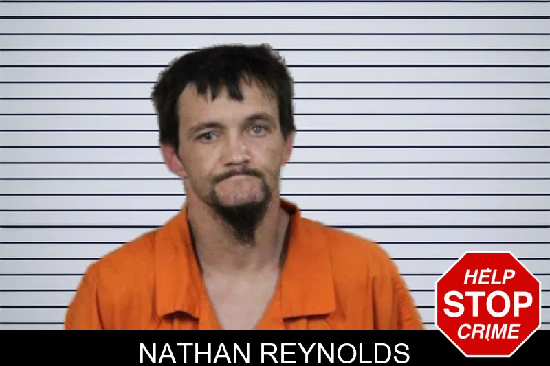 Nathan Reynolds mugshot