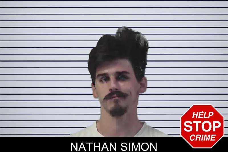 Nathan Simon mugshot