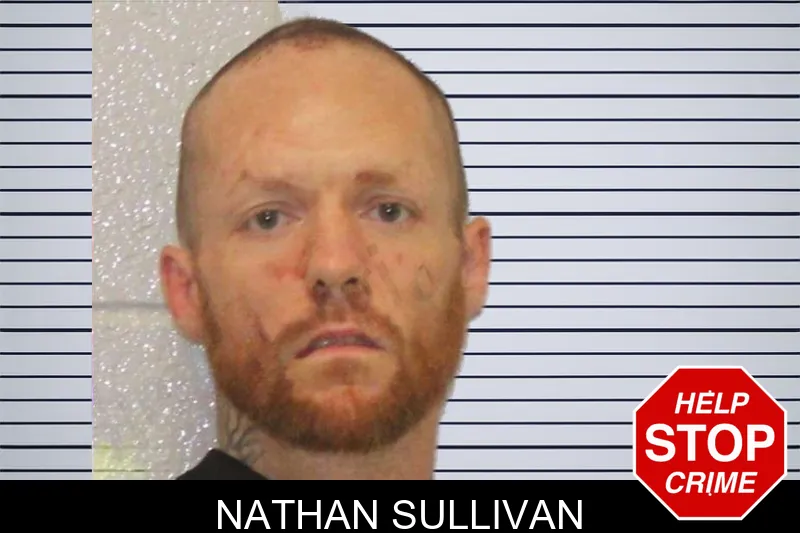 Nathan Sullivan mugshot – Carroll County , Georgia Nathan Sullivan mugshot