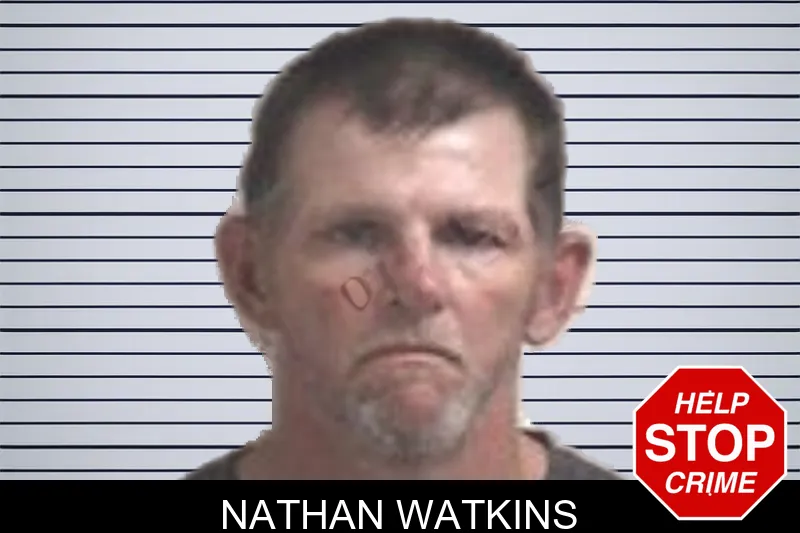 Nathan Watkins mugshot