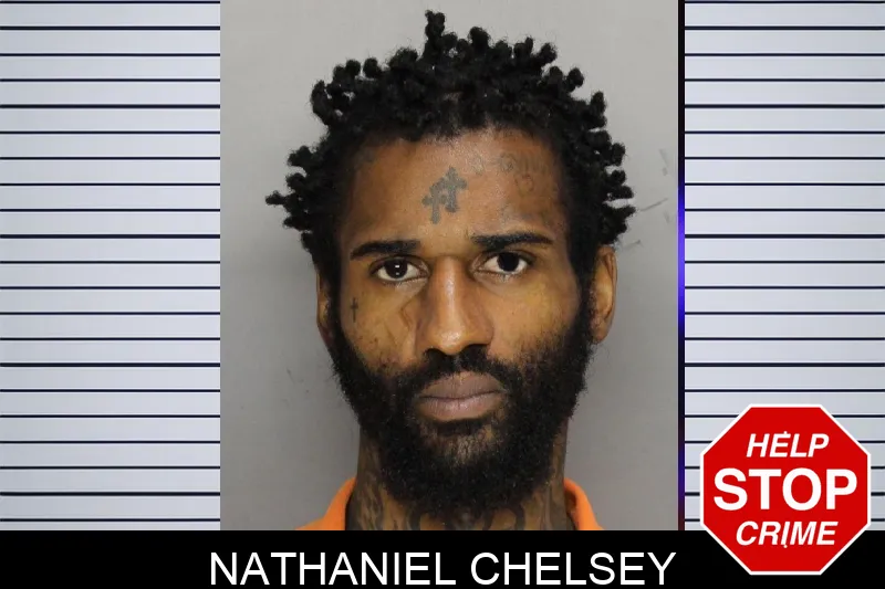Nathaniel Chelsey mugshot – Cobb County , Georgia Nathaniel Chelsey mugshot
