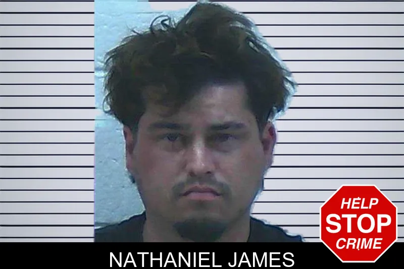 Nathaniel James mugshot