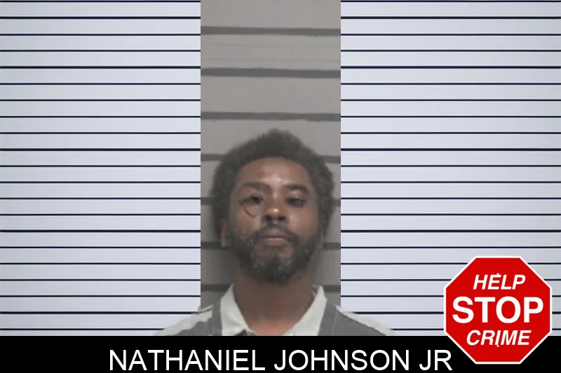Nathaniel Johnson Jr mugshot