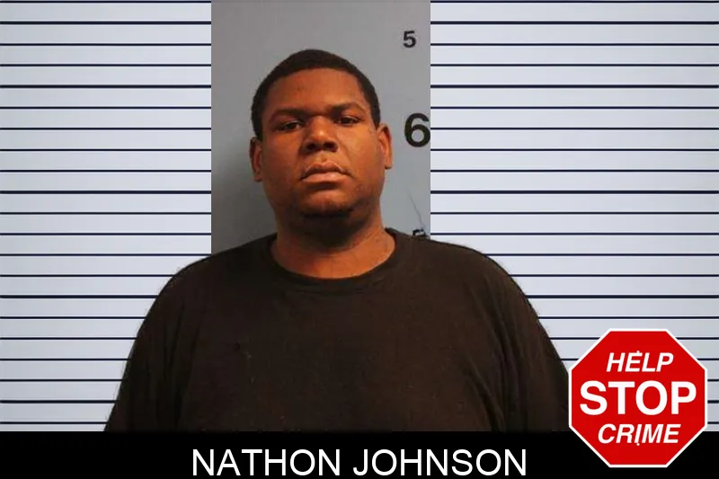 Nathon Johnson mugshot