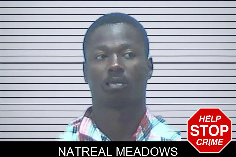 Natreal Meadows mugshot