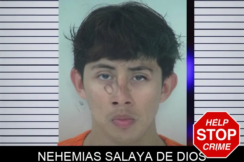 Nehemias Salaya De Dios mugshot