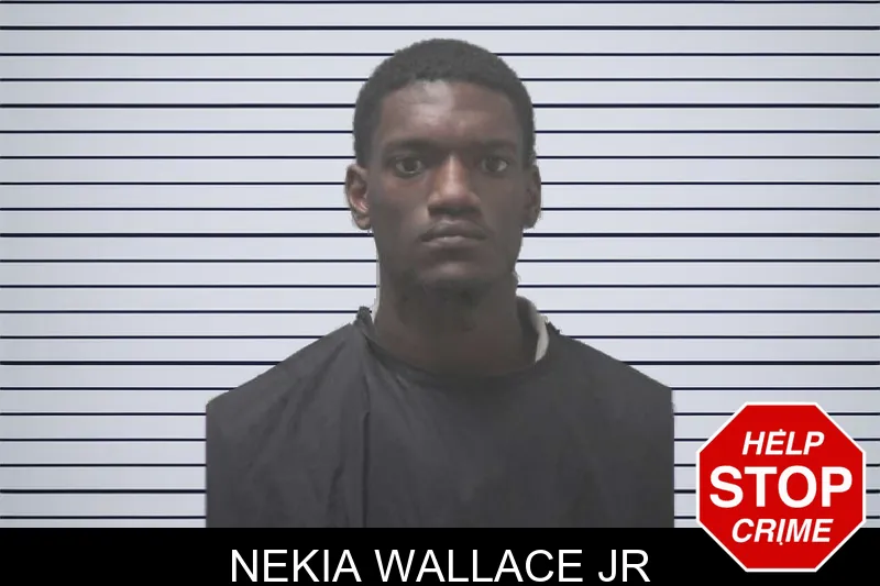 Nekia Wallace Jr mugshot