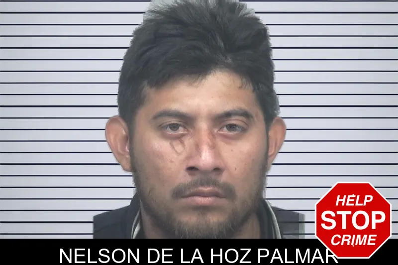 Nelson De La Hoz Palmar mugshot