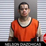 Nelson Diazchicas mugshot