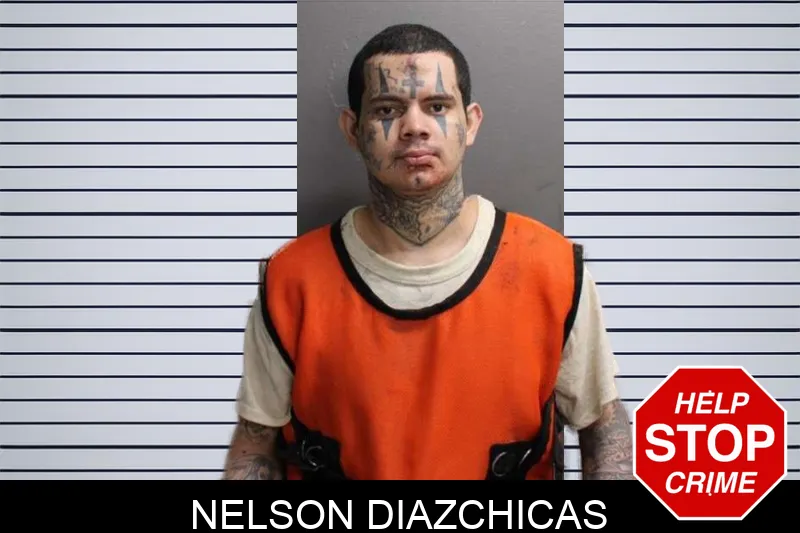 Nelson Diazchicas mugshot