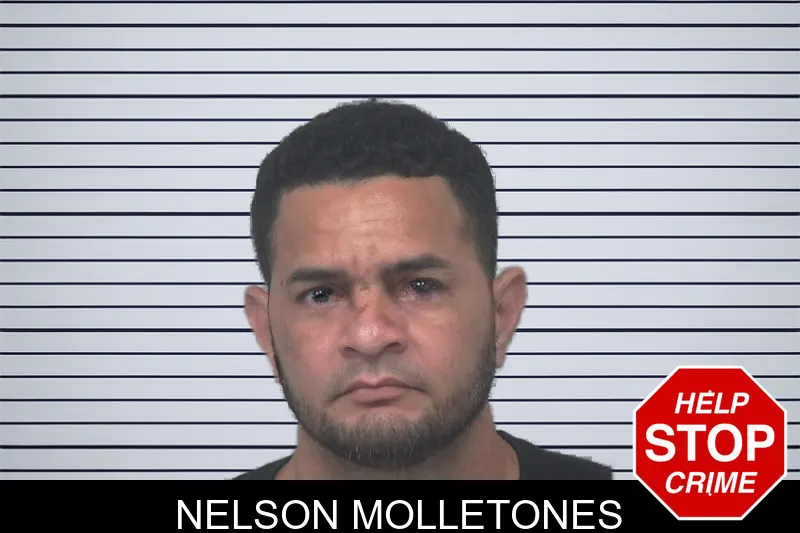 Nelson Molletones mugshot