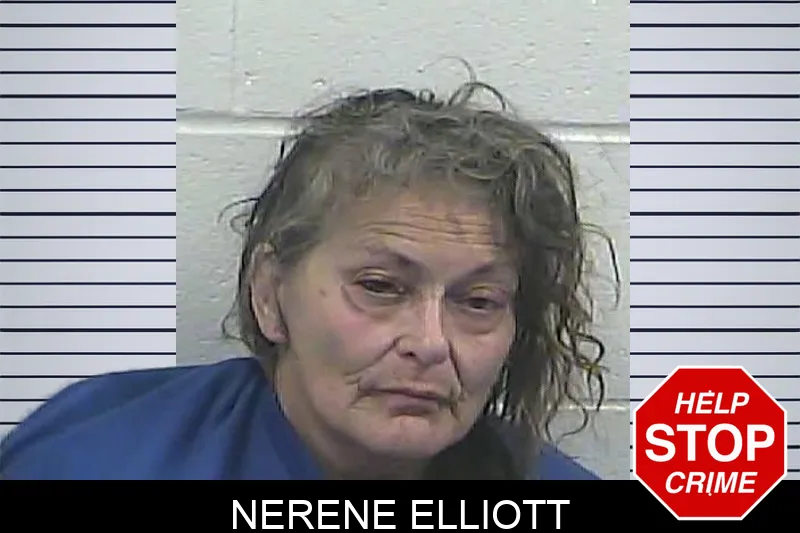 Nerene Elliott mugshot