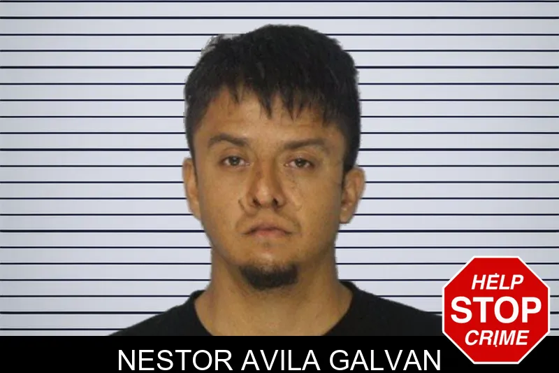 Nestor Avila Galvan mugshot