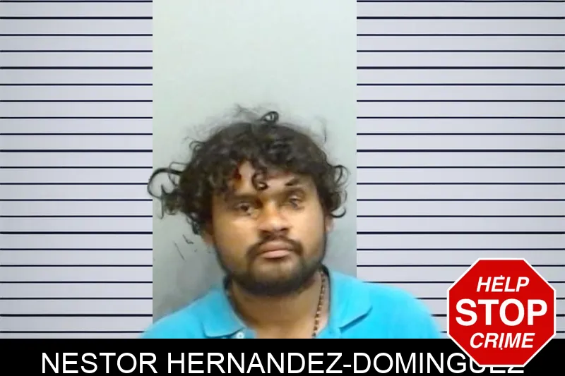 Nestor Hernandez-Dominguez mugshot