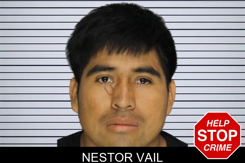 Nestor Vail mugshot