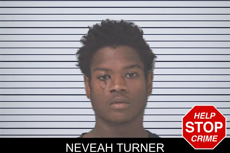 Neveah Turner mugshot