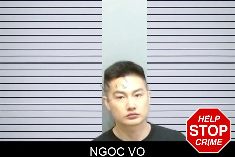 Ngoc Vo mugshot
