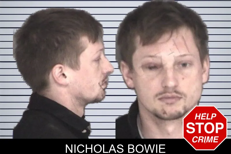 Nicholas Bowie mugshot