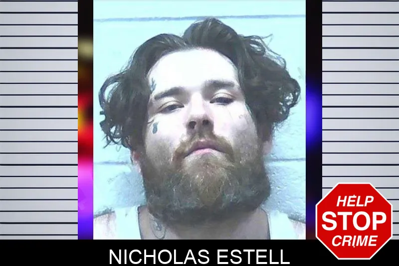 Nicholas Estell mugshot