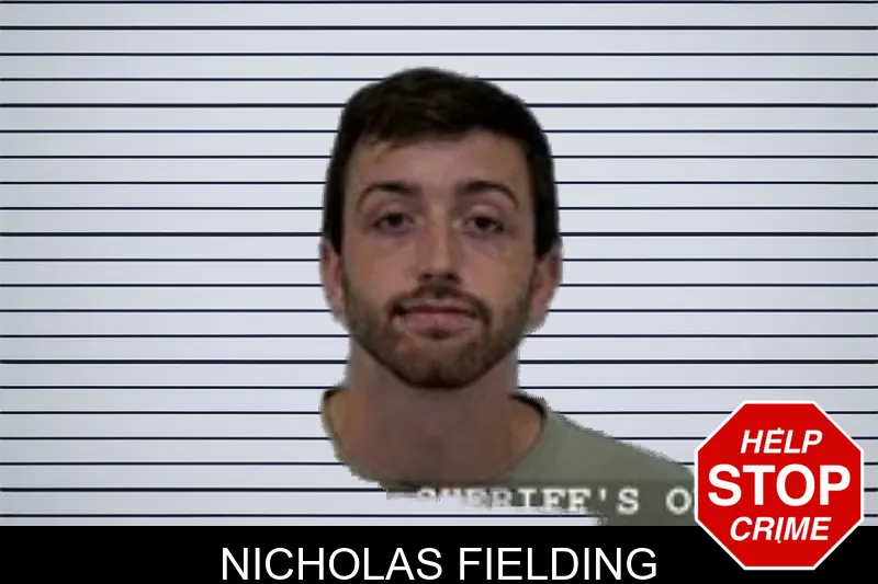 Nicholas Fielding mugshot