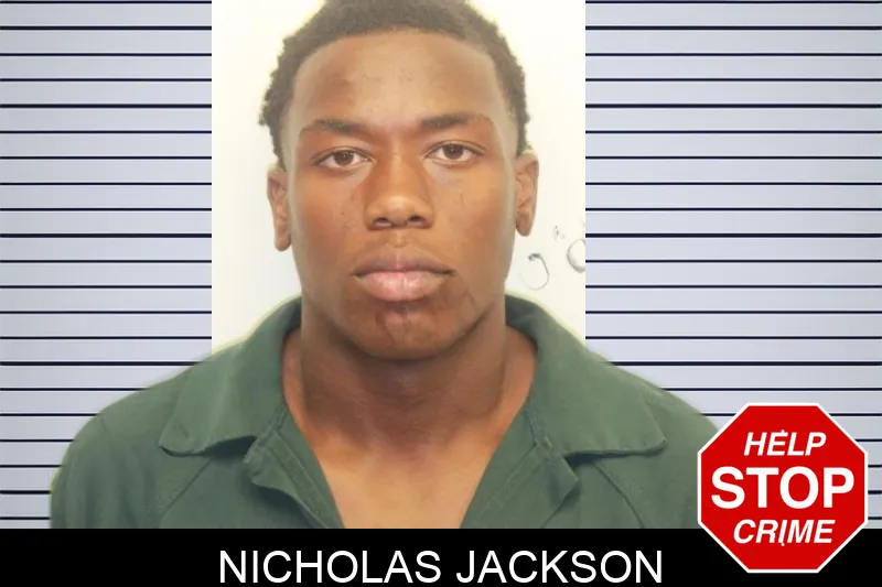 Nicholas Jackson mugshot – Chatham County , Georgia Nicholas Jackson mugshot