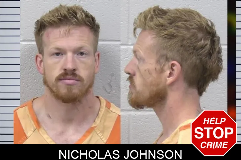 Nicholas Johnson mugshot
