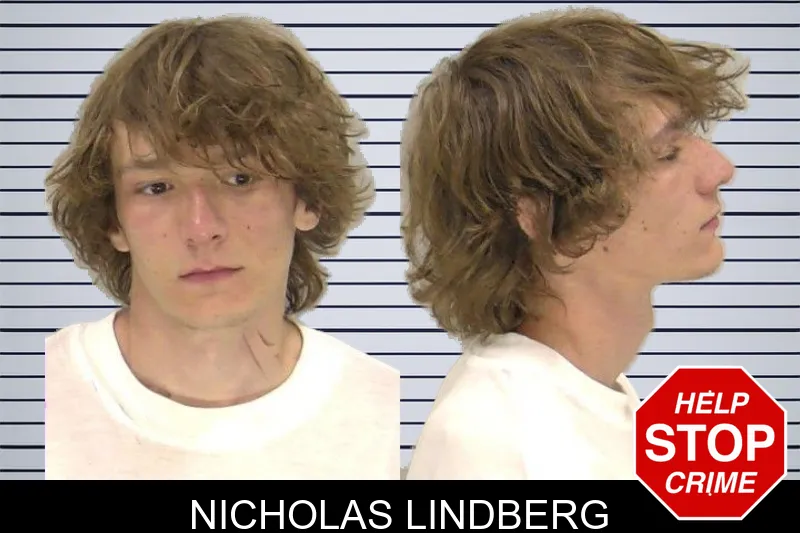 Nicholas Lindberg mugshot