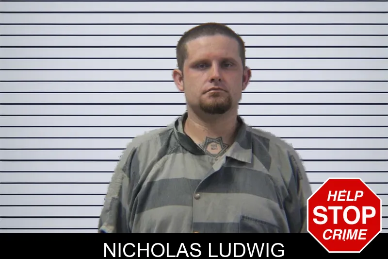 Nicholas Ludwig mugshot