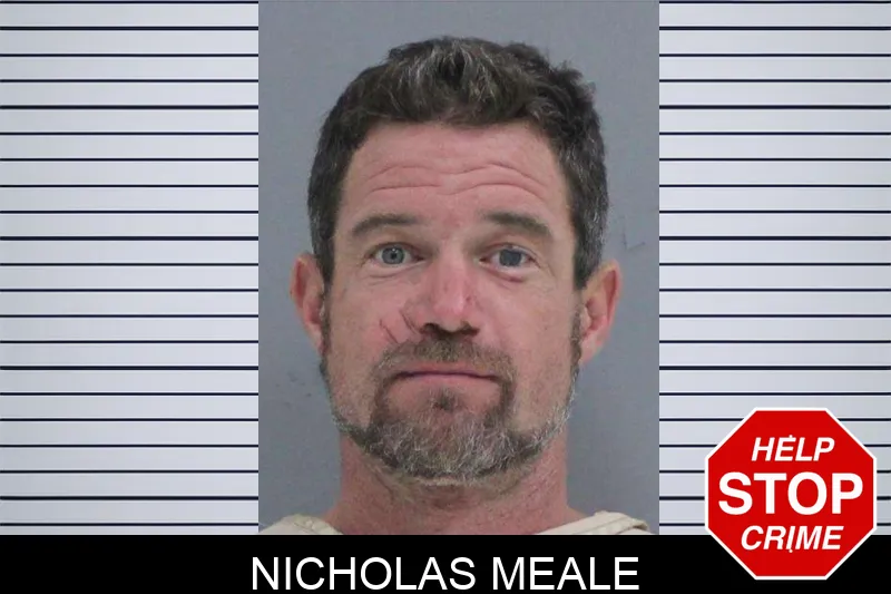 Nicholas Meale mugshot