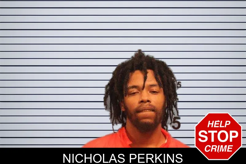 Nicholas Perkins mugshot