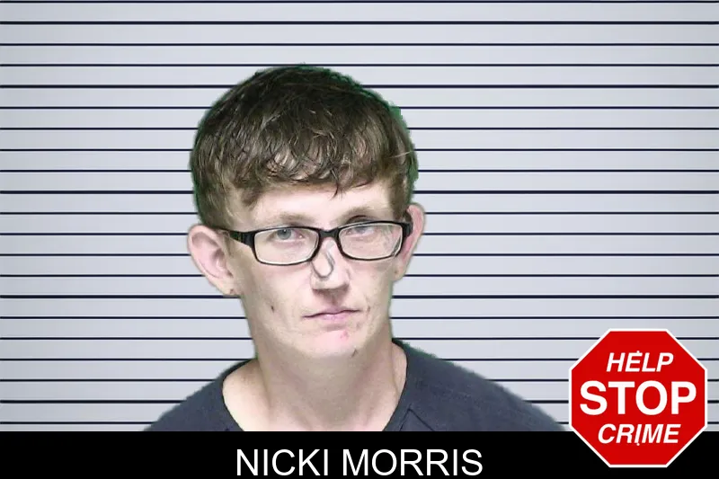 Nicki Morris mugshot