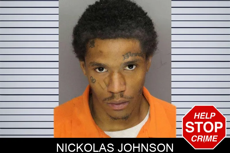 Nickolas Johnson mugshot