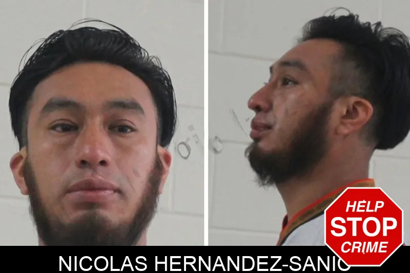 Nicolas Hernandez-Sanic mugshot