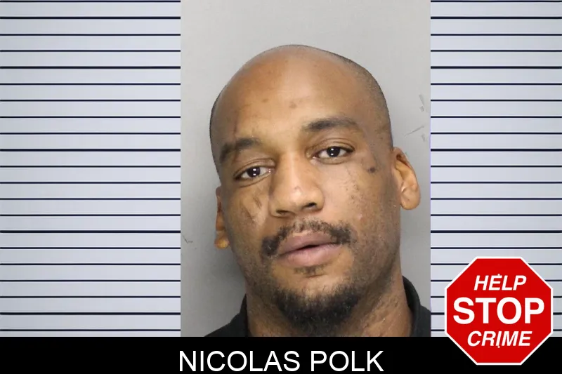 Nicolas Polk mugshot