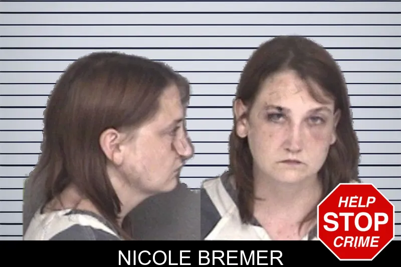 Nicole Bremer mugshot