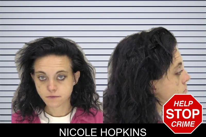 Nicole Hopkins mugshot