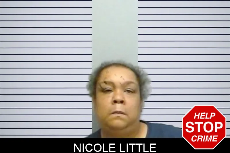 Nicole Little mugshot