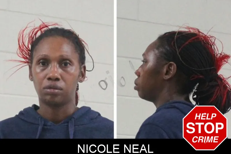 Nicole Neal mugshot