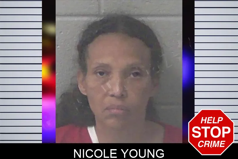 Nicole Young mugshot