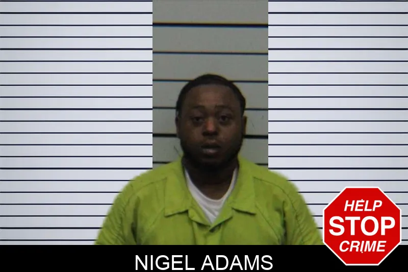 Nigel Adams mugshot