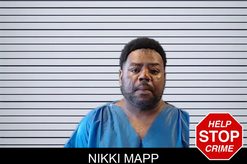 Nikki Mapp mugshot