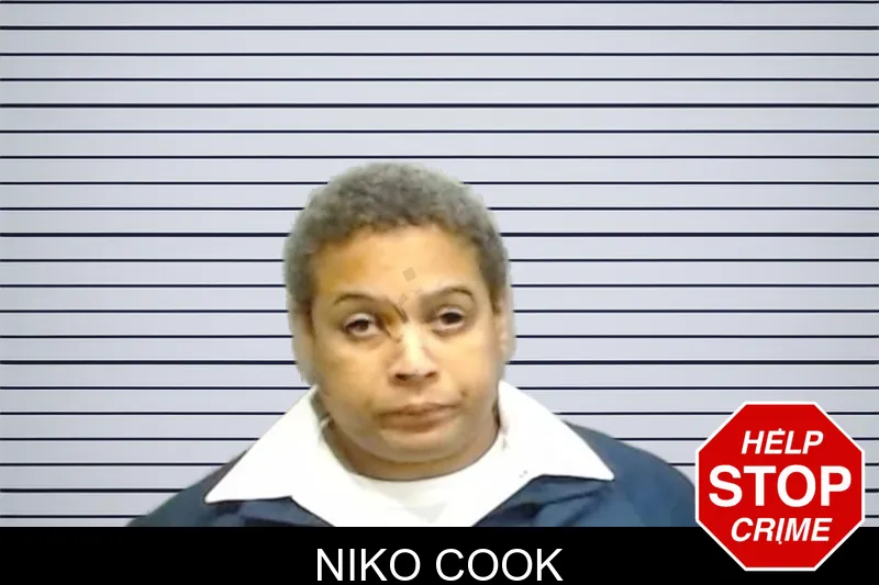 Niko Cook mugshot