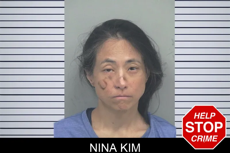 Nina Kim mugshot