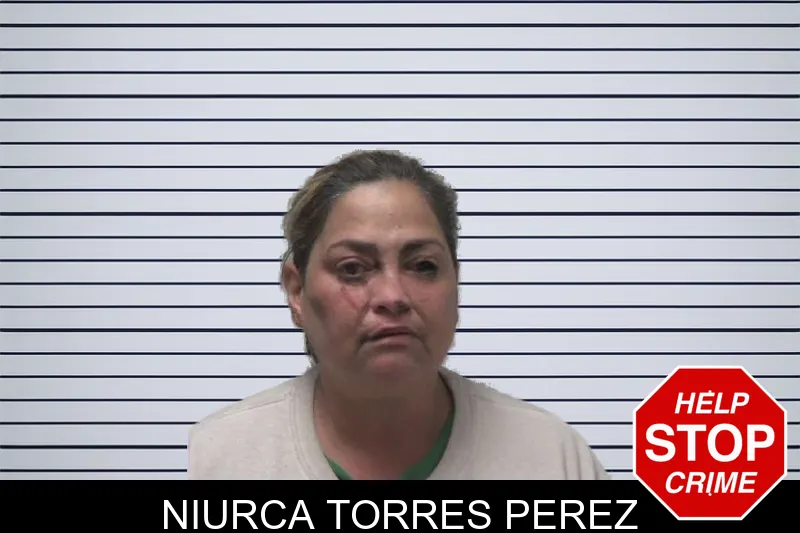 Niurca Torres Perez mugshot