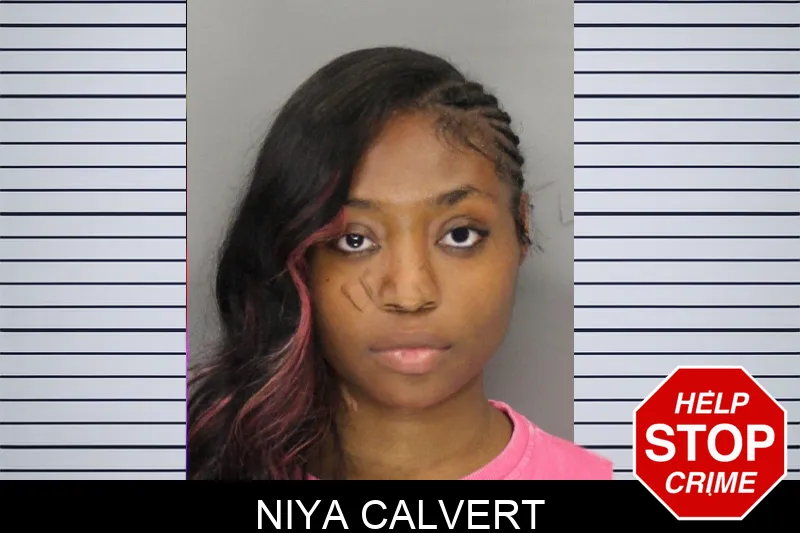 Niya Calvert mugshot
