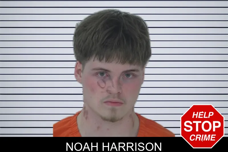 Noah Harrison mugshot