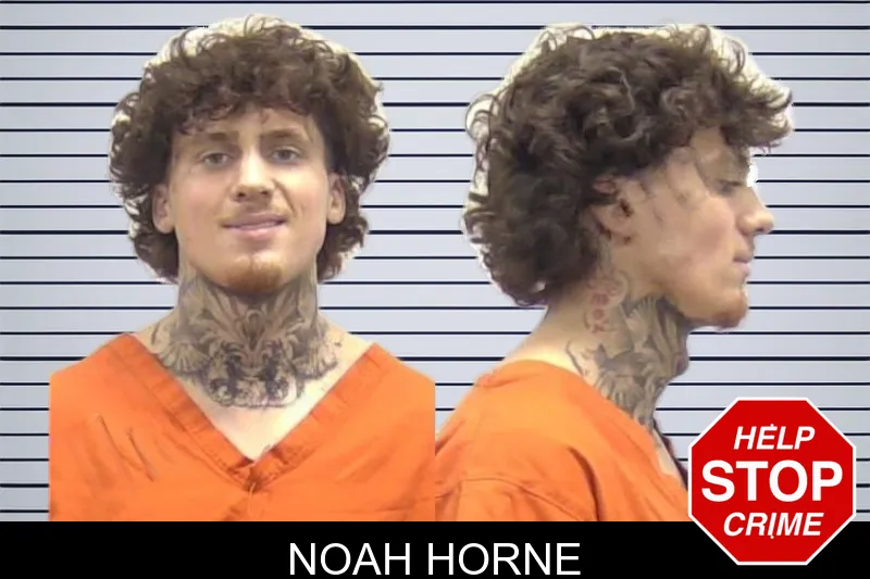 Noah Horne mugshot