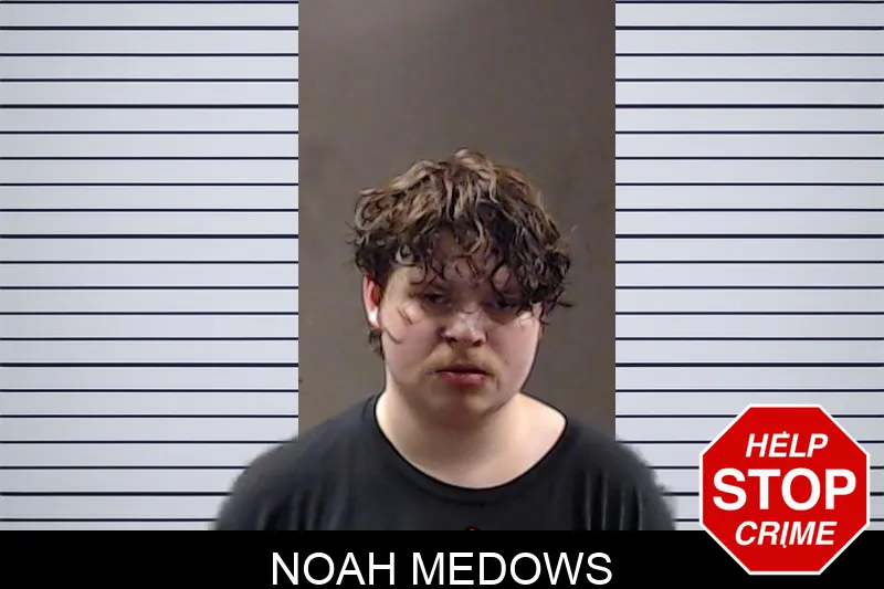 Noah Medows mugshot