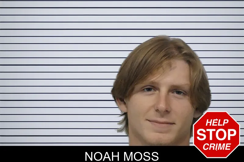Noah Moss mugshot