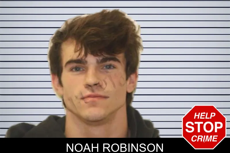 Noah Robinson mugshot